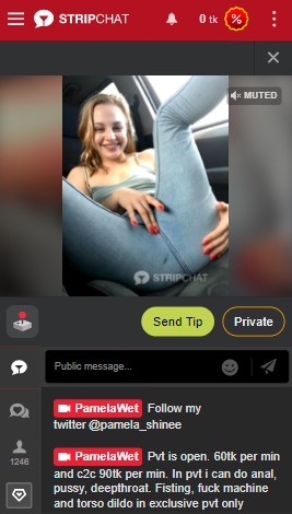 Strichat Mobile Version With Cam Girl 