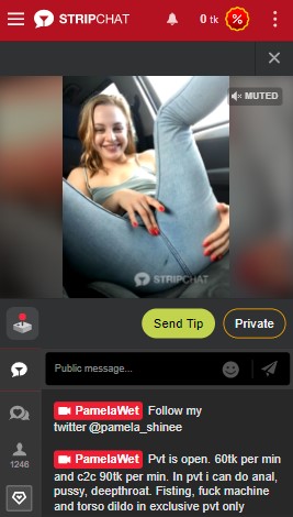 Strichat Mobile Version With Cam Girl