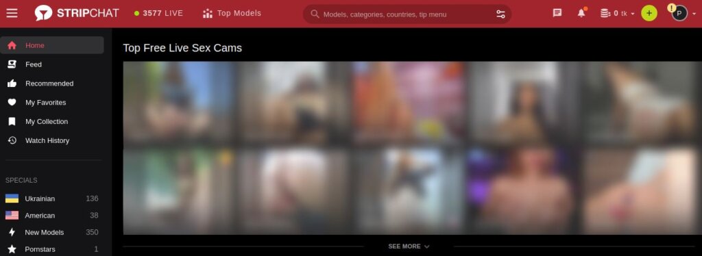 StripChat Main Page Screenshot